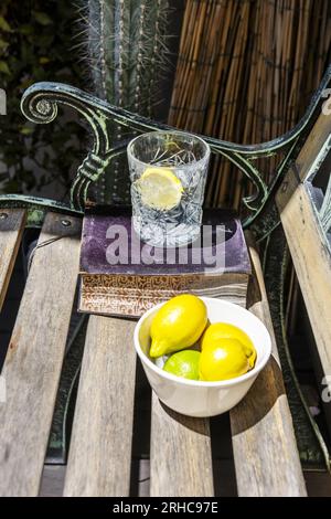 Fresh Lemons On A Wooden Bench Stock Photo Alamy