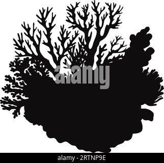 Hand Drawn Corals And Seaweed Silhouette Isolated On White Background