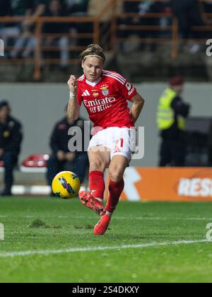 Andreas Schjelderup Forward Of SL Benfica During The Liga Portugal