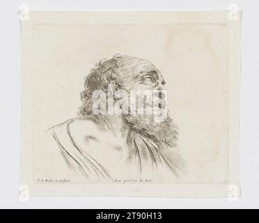 Head Of A Bearded Old Man Turned In Profile To The Left Crowned With