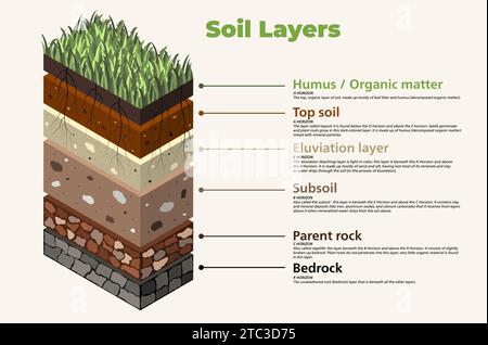 Soil Layer Infographic Earth Geology Formation Bedrock Weathered