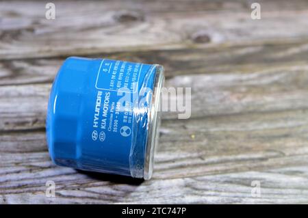 Cairo Egypt November Kia And Hyundai Oil Filter For Elantra