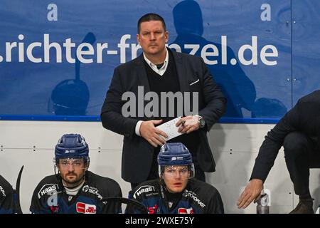 Straubing Germany 30th Mar 2024 Ice Hockey DEL Straubing Tigers