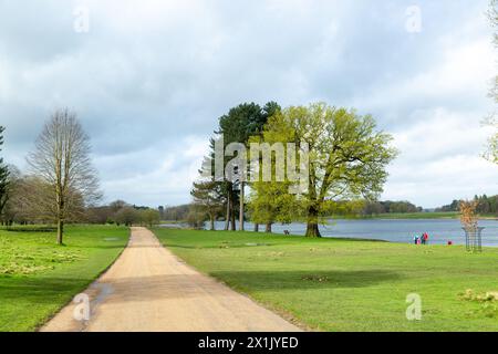 Estate Of Tatton Park England Spring View Of Yellow Water Iris And