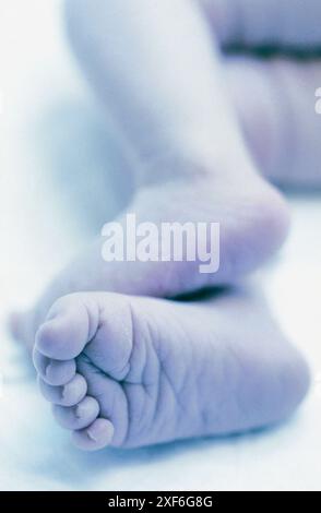 Detail Of A Newborn Baby S Feet With Identification Tag Postnatal