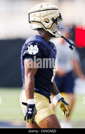 Notre Dame Safety Jordan Clark Celebrates A Play During The First