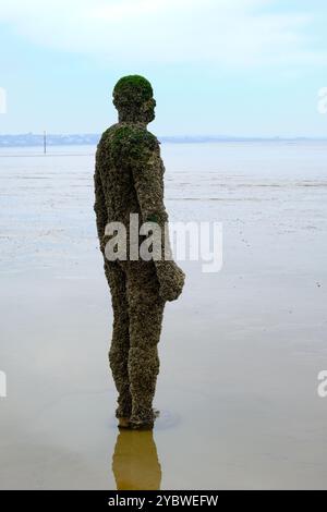 Anthony Gormley S Another Place At Sefton Beach Stock Photo Alamy