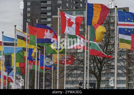 Netherlands Rotterdam Different Flags Against The Sun Stock Photo Alamy