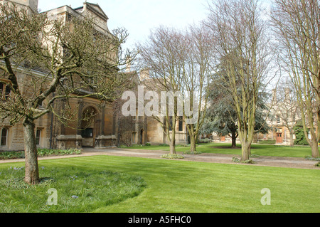 Gate Of Virtue And Tree Court Gonville And Caius College Cambridge