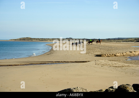 UK Dorset Studland Bay Naturist Beach Sign With Naked Man And Stock