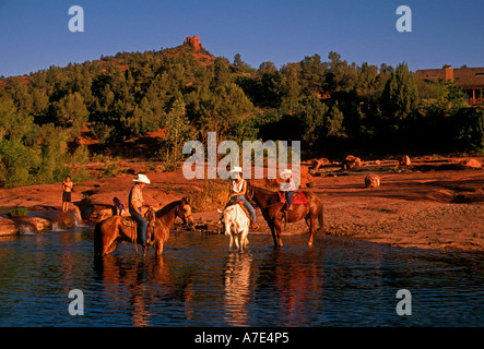Horse and female rider crossing river in Hafren Forest on ...