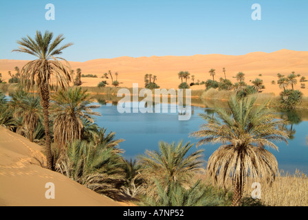 lake ubari oasis sahara alamy um ma libya desert el palm trees maa umm lakes al sand salt sea