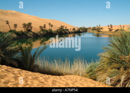 ubari lake desert oasis sahara libya lakes alamy ma um palm trees el al umm maa