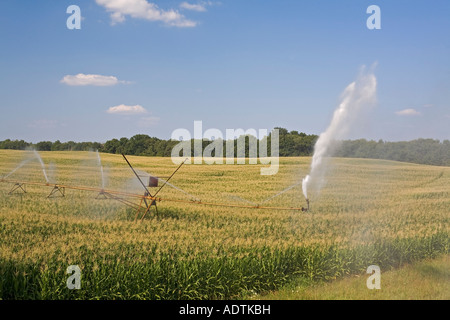 Albion Michigan Irrigation Of A Corn Field In Southern Michigan Stock