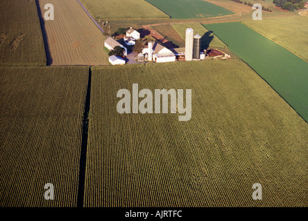 Aerial View Of Dairy Farm Surrounded By Corn Alfalfa And Soybean Crops