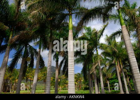 Dating maui hawaii