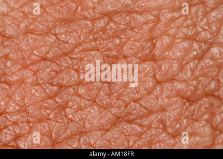 skin pores texture stock photos royalty free skin pores texture images depositphotos 174 up texture of human skin with pores stock photo royalty free image 133633105 alamy skin pores texture stock photos royalty free skin pores texture images depositphotos 174 up texture of human skin with pores stock photo royalty free image 133633105 alamy