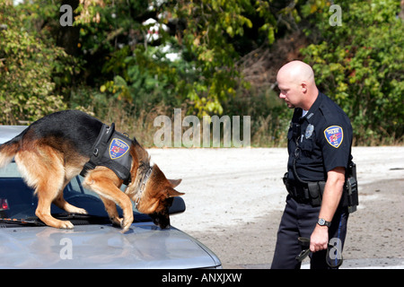 A police dog searching for drugs on an old car Stock Photo ...