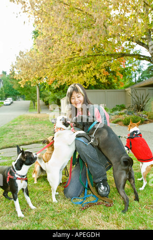 http://l450v.alamy.com/450v/apegdh/asian-woman-with-multiple-dogs-on-leash-apegdh.jpg
