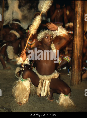 Zulu Warrior Shakaland South Africa Stock Photo Alamy