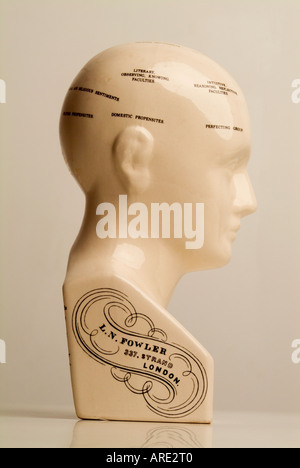 Phrenology Head Displaying Human Characteristics Stock Photo Alamy