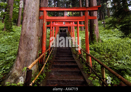 red-torii-gates-at-chuson-ji-temple-in-h