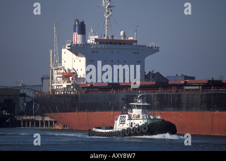 Forex cargo los angeles california