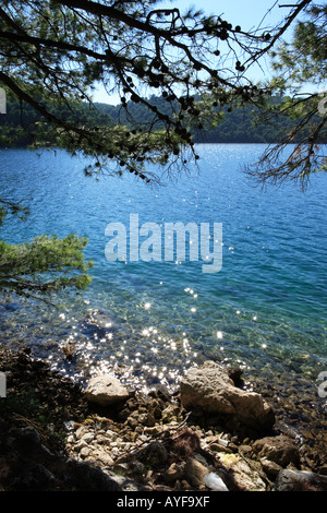 Veliko Jezero Translated As Large Lake Mljet National Park Croatia