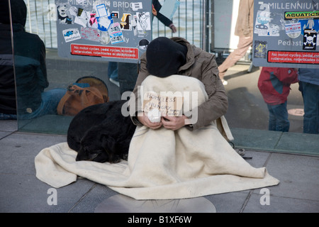 homeless begging dog person bridge alamy london streets labrador millennium