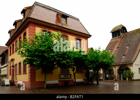 Tiny house baden württemberg