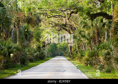 Ormond Scenic Loop And Trail Ormond Beach Florida Stock Photo Alamy