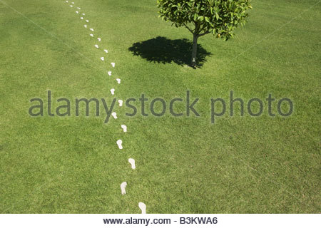 Image result for white footprints on grass