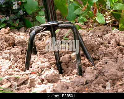 cultivator to aerate lawn