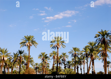 Growers valley coachella date