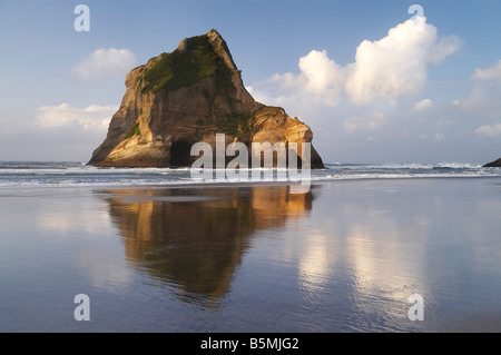 Archway Islands Reflected In Wet Sands Of Wharariki Beach Near Cape