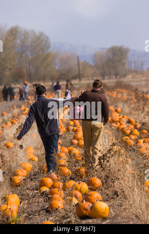 Fallon nv swingers