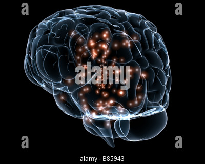 Active Human Brain Illustration Stock Photo Alamy