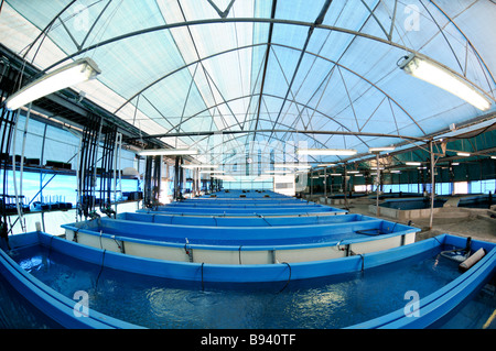 Cool Indoor Pools With Fish cool indoor pools with fish the waves of this water largest surf Cool Indoor Pools With Fish cool indoor pools with fish the waves of this water largest surf