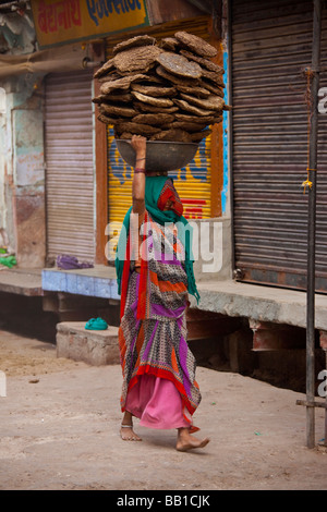 woman-carrying-dried-cow-dung-for-fuel-in-fatehpur-sikri-india-bb1cjk.jpg