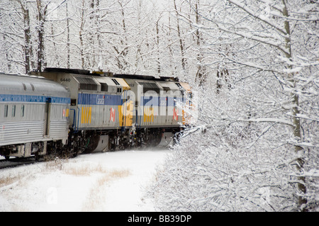 rail snow via edmonton jasper alberta train canada between alamy