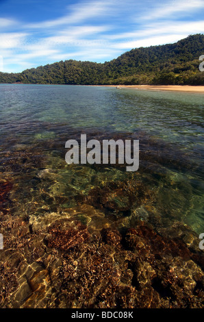 Coral Reef Fringing Rainforest Beaches Of Daintree National Park North