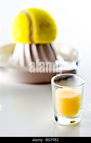 Citrus santos classic juicer