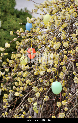 Pussy Willow And Easter Eggs Stock Photo Alamy