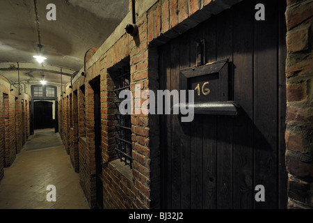 Prison Cells At The Fort Breendonk Second World War Two Concentration