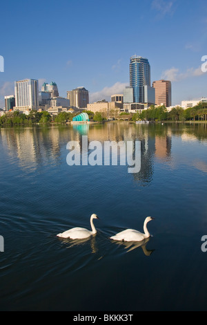 Modern Architecture Orlando modern architecture orlando lake eola with skyline of florida Modern Architecture Orlando modern architecture orlando lake eola with skyline of florida