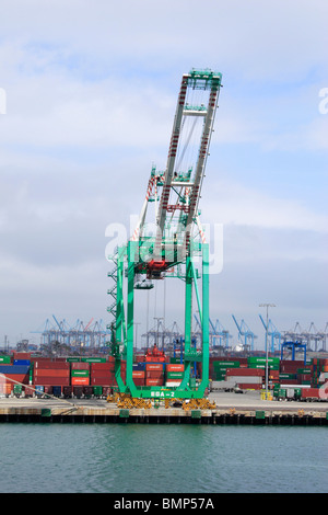 Forex cargo los angeles california