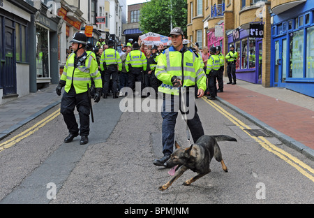 Police handler with dog Britain UK Stock Photo, Royalty ...