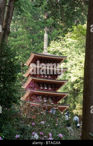 The Five Storied Pagoda In A Forest Of Cedar Trees With Deep Snow At