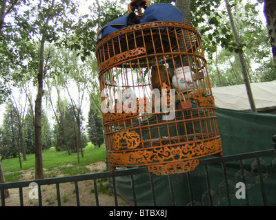 J Blind - Sensory Transmission J Blind - Sensory Transmission