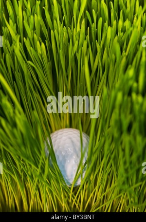 Close Up View Of Golf Ball On Tee On Golf Course Stock Photo Alamy